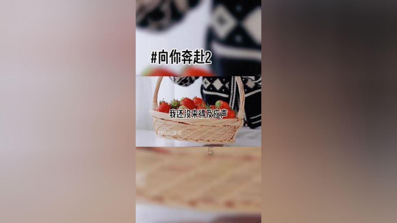冒险的布瑞恩